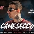 Canesecco live @ Roma